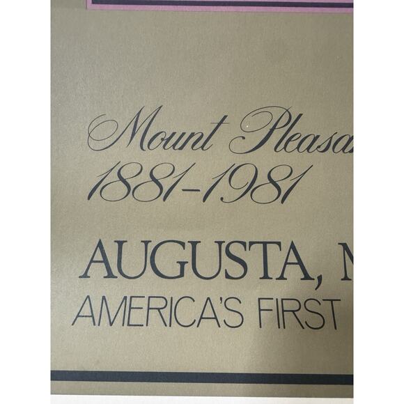 VTG Mount Pleasant Vineyards Poster 1981 Augusta Missouri State 10th Anniversary - Picture 7 of 8